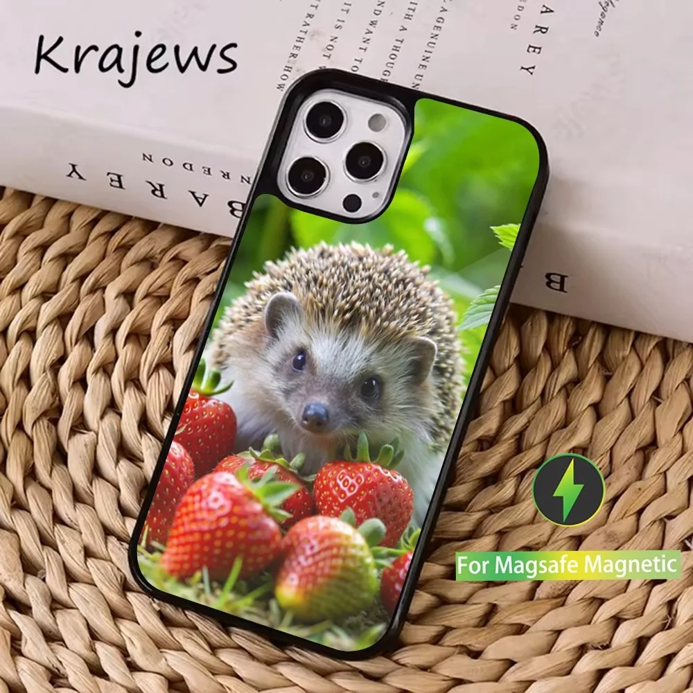 Cute Hedgehog Phone Case  For iPhone 16,15,14,13,12,11,Pro,Max,Plus,Mini, Magsafe,Magnetic Wireless Charging Case