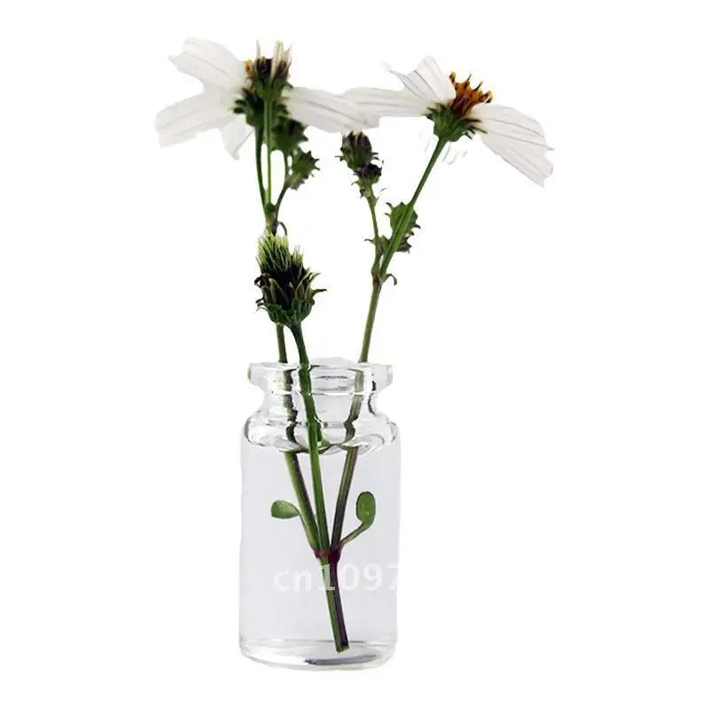 

Mini Glass Bottle for Flower Small round Vase Multi-Meat Thumb Window Decoration Peach Egg Soup Special Design Modern Minimalist