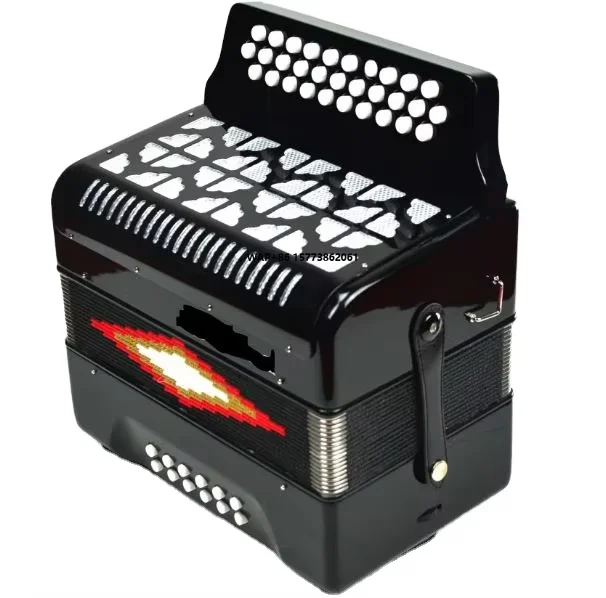 Outlet 31-Key 12-Bass Button Accordion Black Diatonic Piano Accordion with 12 Bass Buttons