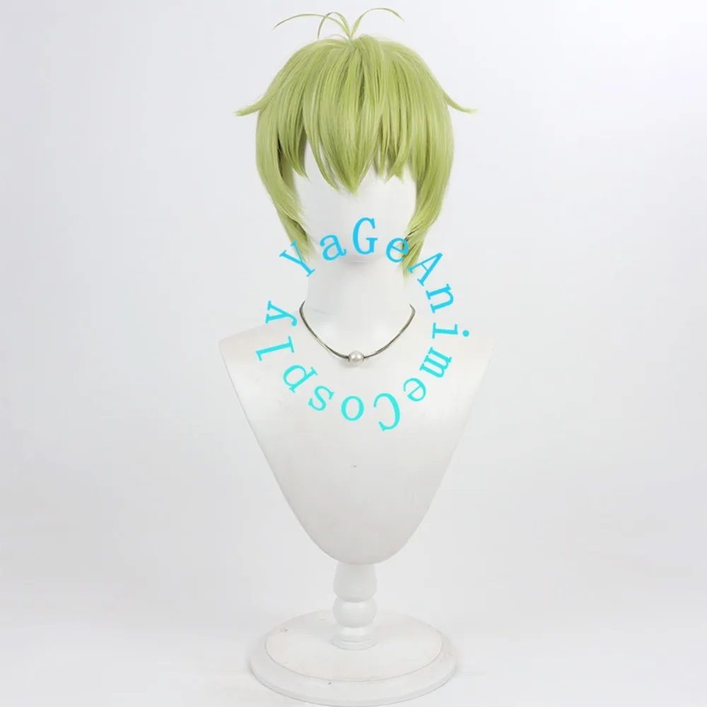 Anime Vamola Cosplay Wig Styled Hair for Christmas Anime Festival Character Event and Studio Photo Shoot