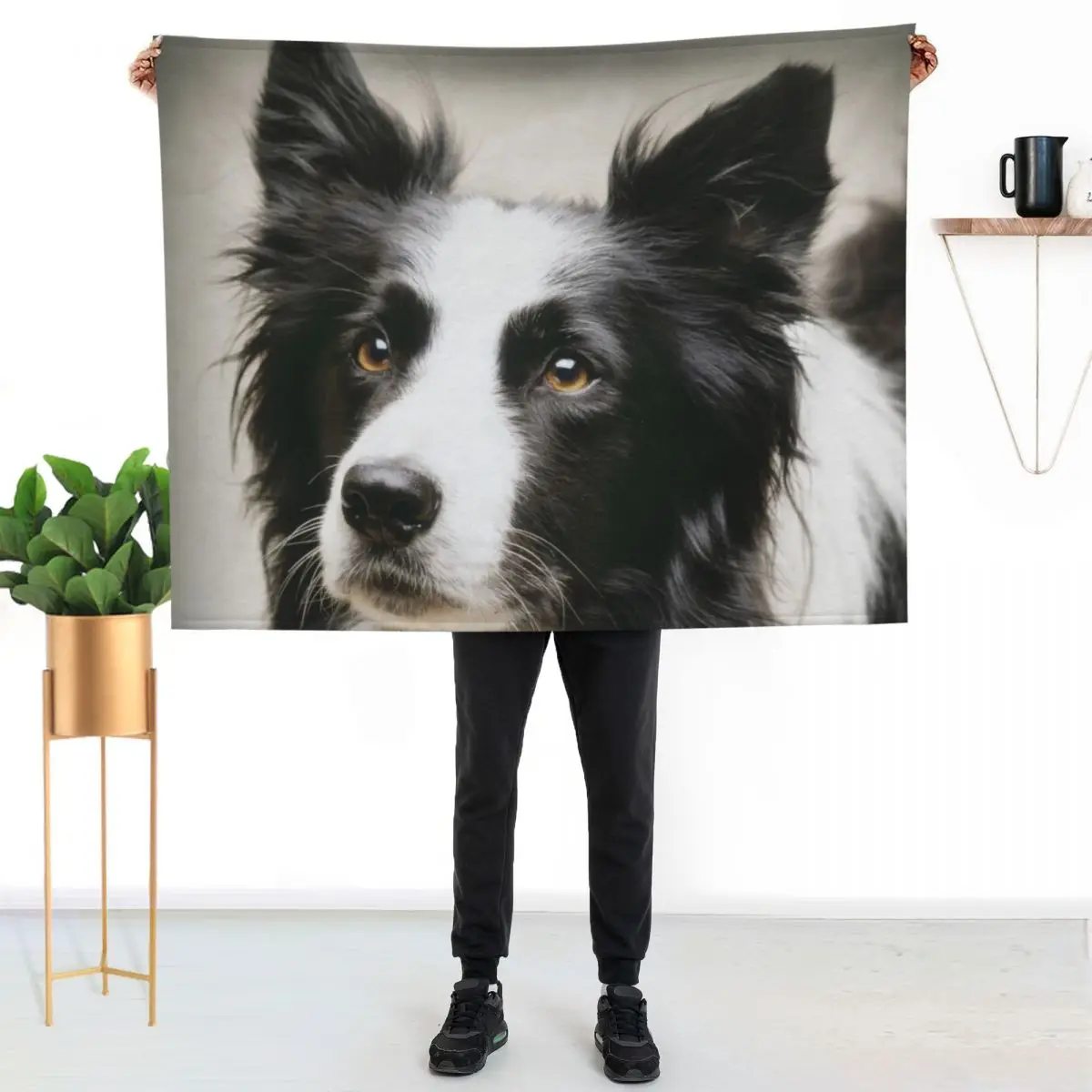 Working Border Collie Throw Blanket Modern Design Soft Blanket for Home Decor