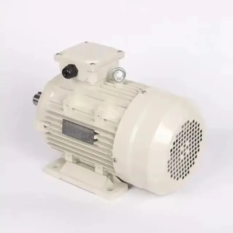 Direct Sales Ultra High Efficiency Three Phase Asynchronous Induction AC Motor