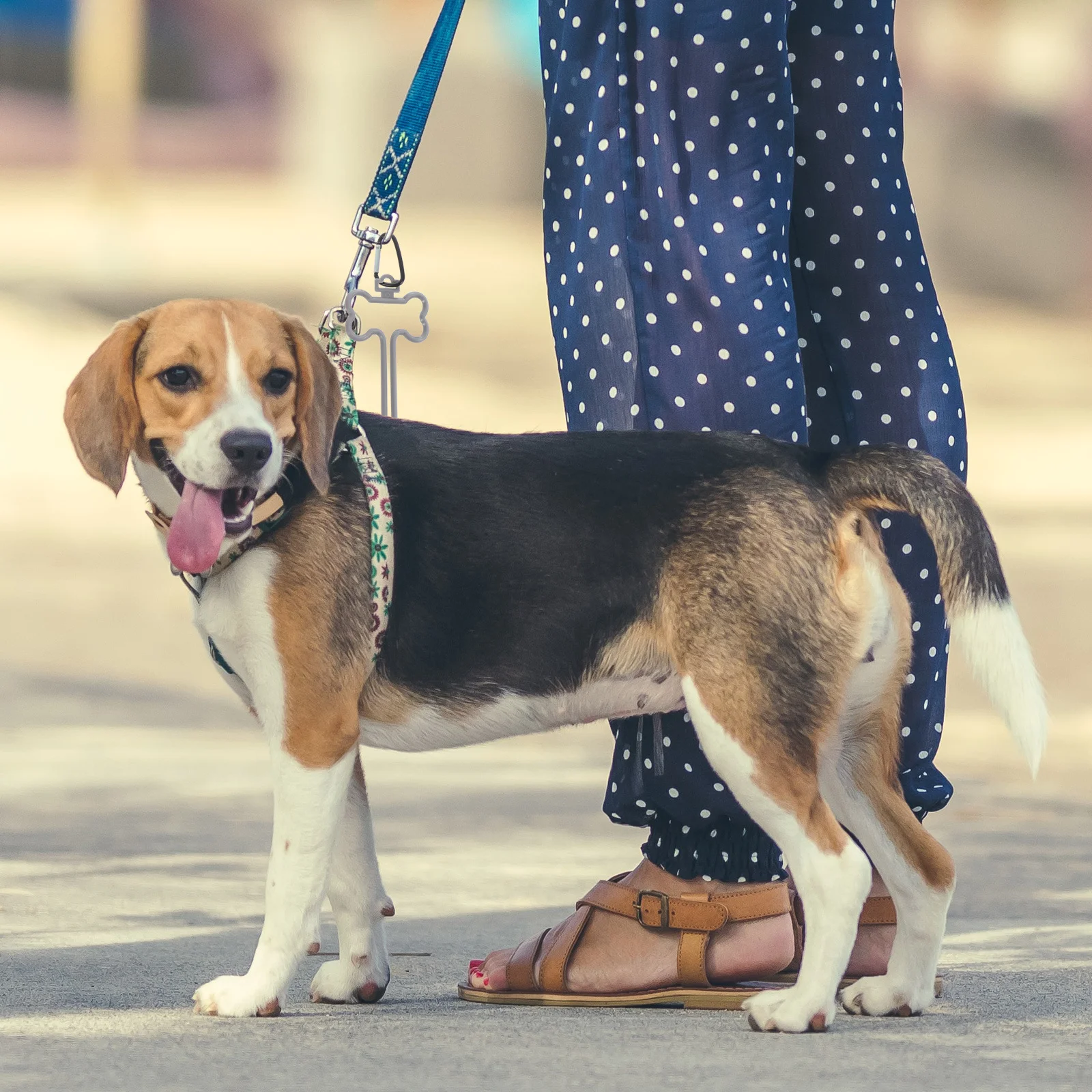 

3Pcs Dog Waste Bag Holders Premium Quality Durable Leash Clip Stylish Colors Mix Match Hands-Free Walking Dog Supply