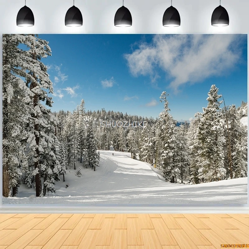 قطرات خلفية للتصوير الفوتوغرافي للغابات الشتوية ، طريق مغطى بالثلوج ، ندف الثلج ، أشجار التنوب ، خلفية الصورة ،