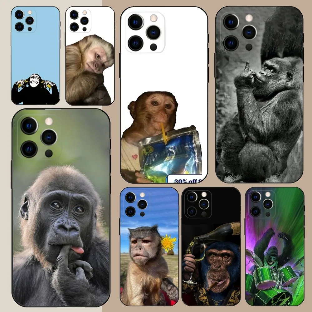 Monkey Sipping Capri Meme Funda  Phone Case For Apple iPhone 15,14,13,12,11,Pro,X,XS,Max,XR,Plus,Mini Soft Black Cover