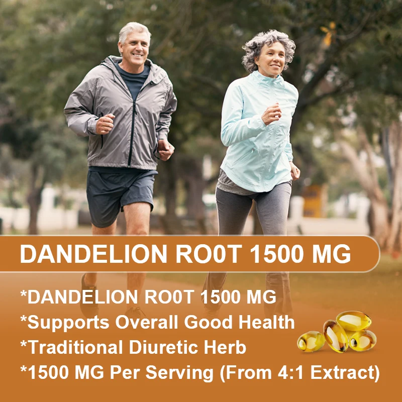 Dandelion Root Capsule Healthy Liver, Kidney, Digestion & Water Balance Support