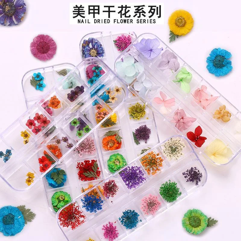 Kit 12 Dry Flowers Encapsulation Nails Decoration Colors Uv Led ENVIO TODAY