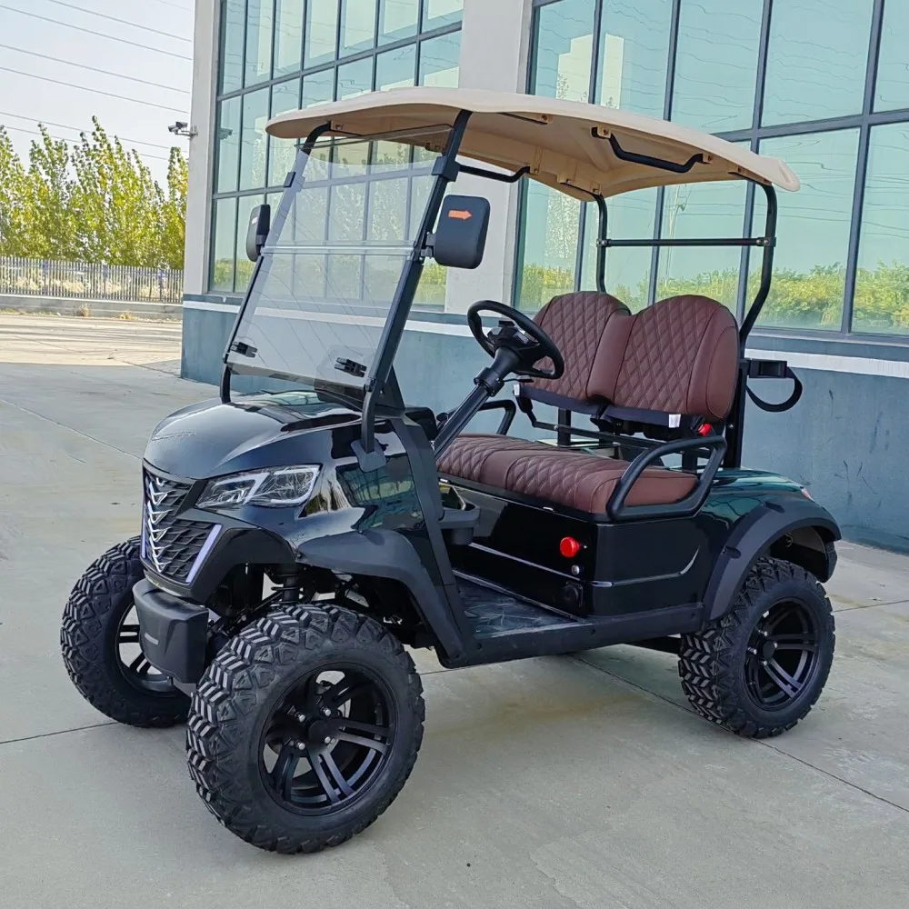 Wholesale Customized Golf Buggy Electric 2 Seats 4000w Motor Off-Road Golf Cart with Golf Bag Holder