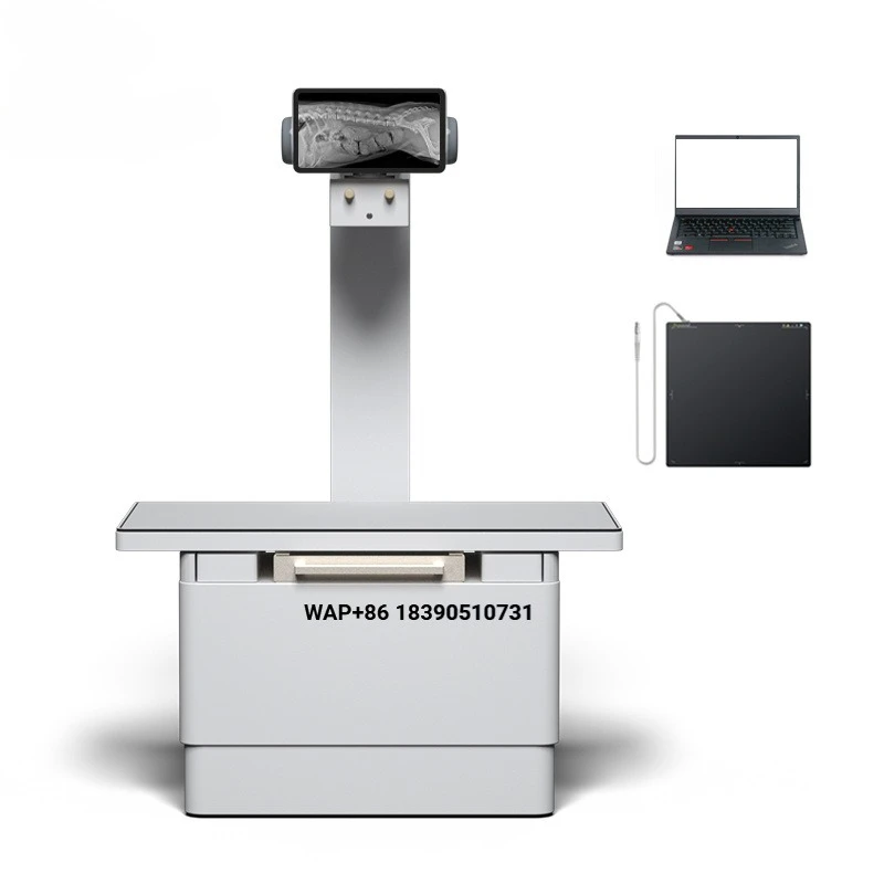 YSX200VET Plus 20kW Veterinary Full Hospital X-ray Equipment Animal Clinical Medicine 200ma X-ray Machine Pet Full Body X-ray