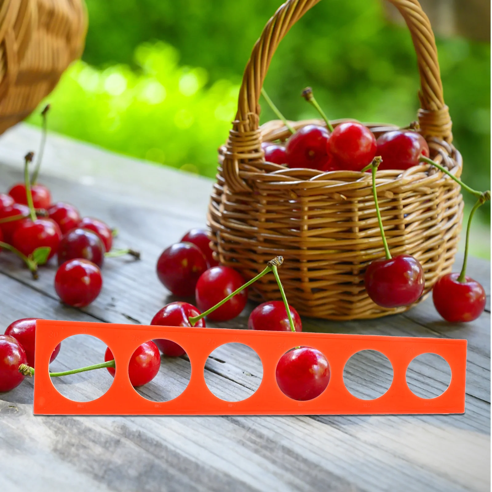 

2 Pcs Fruit Measuring Ruler Cherry Diameter Gauge 20 30MM Plastic Tool for Farms Markets Fruit Gardens Landscaping