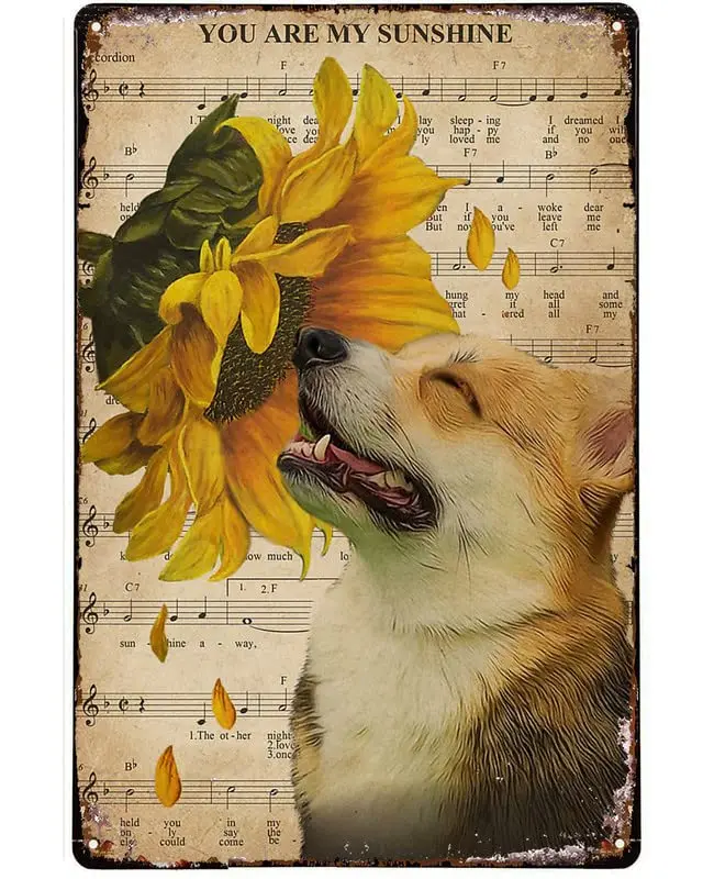 RIFOSA Funny Novelty Tin Sign Music Sheet Sunflower My Sunshine Corgi Metal Wall Plaque Decor Lovers Gift Outdoor Indoor Wall Pa