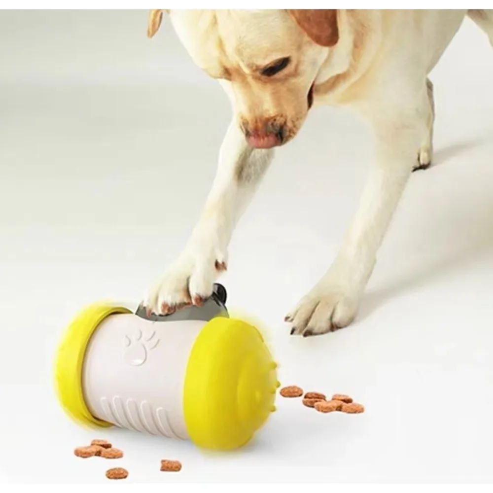 Brain Game Dog Inte… - image