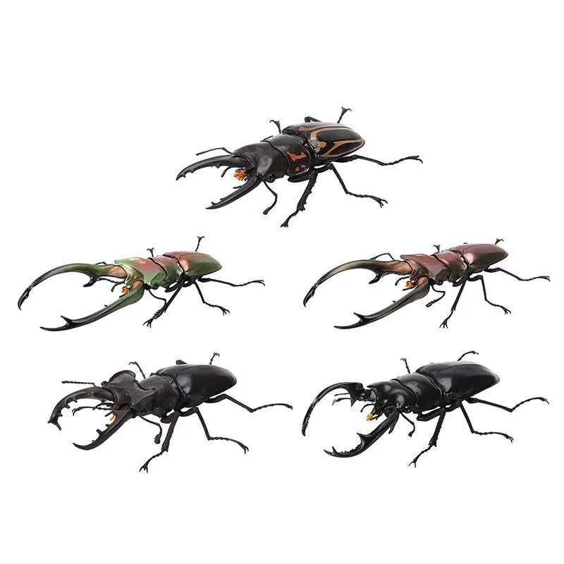 Bandai Biological Big Picture, Staghorn Bug, Puller Bug 07 Beetle, Twisted Egg Simulation Animal Ornament Joint Movable