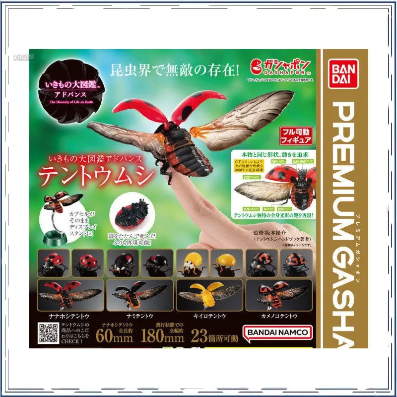 

Coccinellidae Insects Series Gashapon Desktop Decoration Ornament Collection Collectible Toy