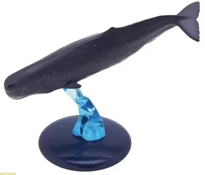 ของเล่นแคปซูล Biographical Illustrated Marine Life ปลาโลมา Killer Whales ปลาวาฬหลังค่อม Sperm Whales Action Figure ของเล่น