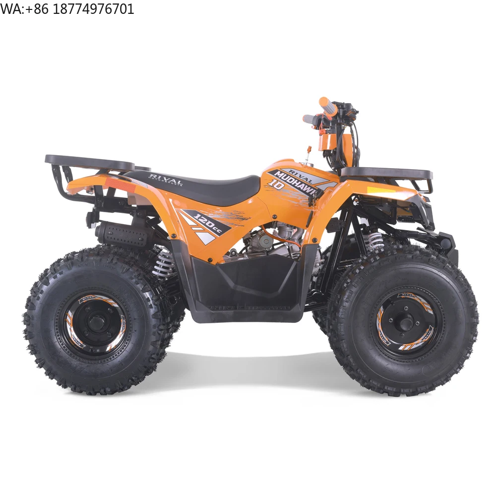 Tao Motor 2025 Automatic Chain Drive New 110cc Quad ATV for Kids