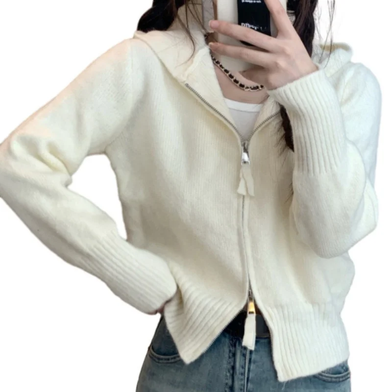 Autumn Winter Zipper Hooded Cardigan Sweater Women Knitted Loose Sweater Solid Color Double Zipper Top Long Sleeve Jacket