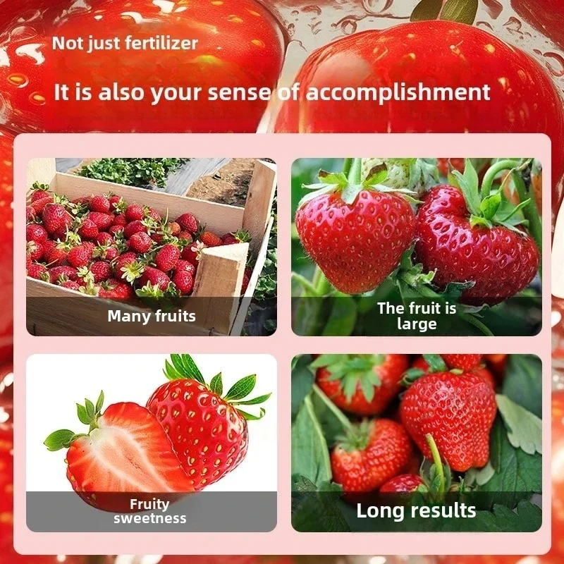 200 جرام الفراولة الأسمدة الخاصة المنزلية بوعاء الأسمدة العضوية محلول المغذيات النباتية إعداد الفاكهة العالمية