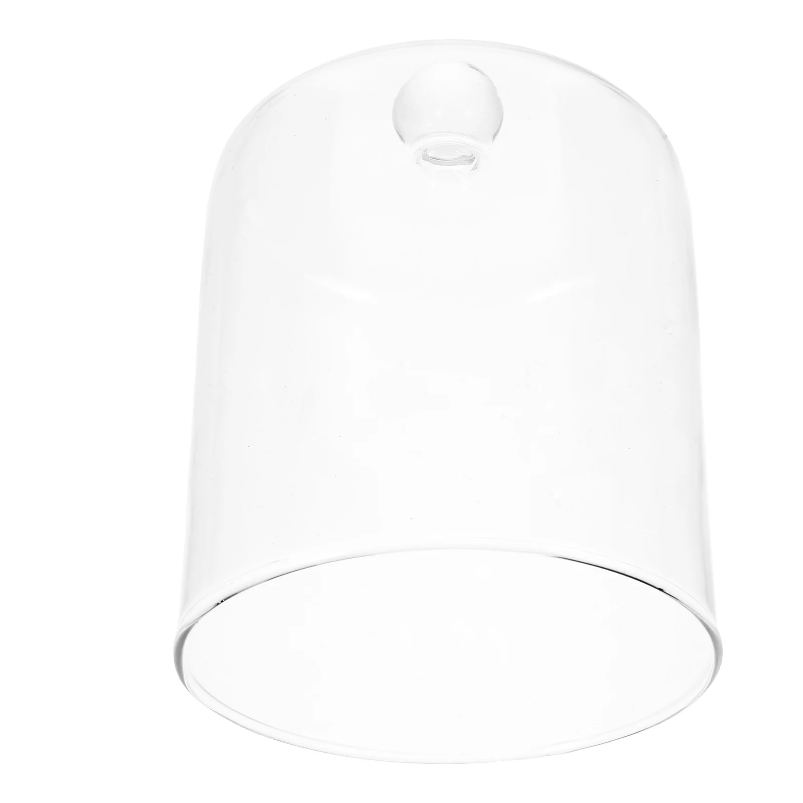 Glass Aroma Diffuser Decoration Display Cloche Dome Screen Transparent Large The Bell Jar