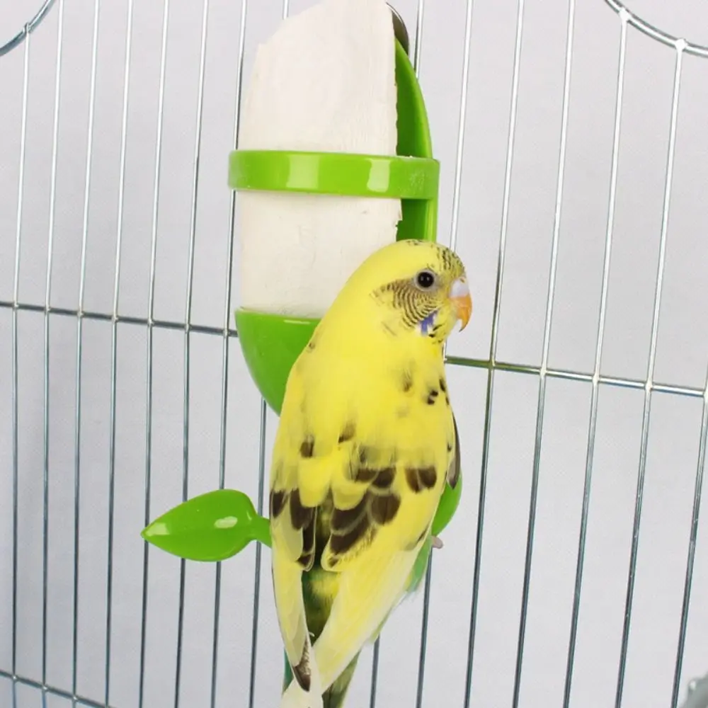 Cage Holder Bird Cuttlebone Holder Fruits Holder Plastic Bird Feeder Feeding Holder General Vegetable Fruits Cuttlebone Holder