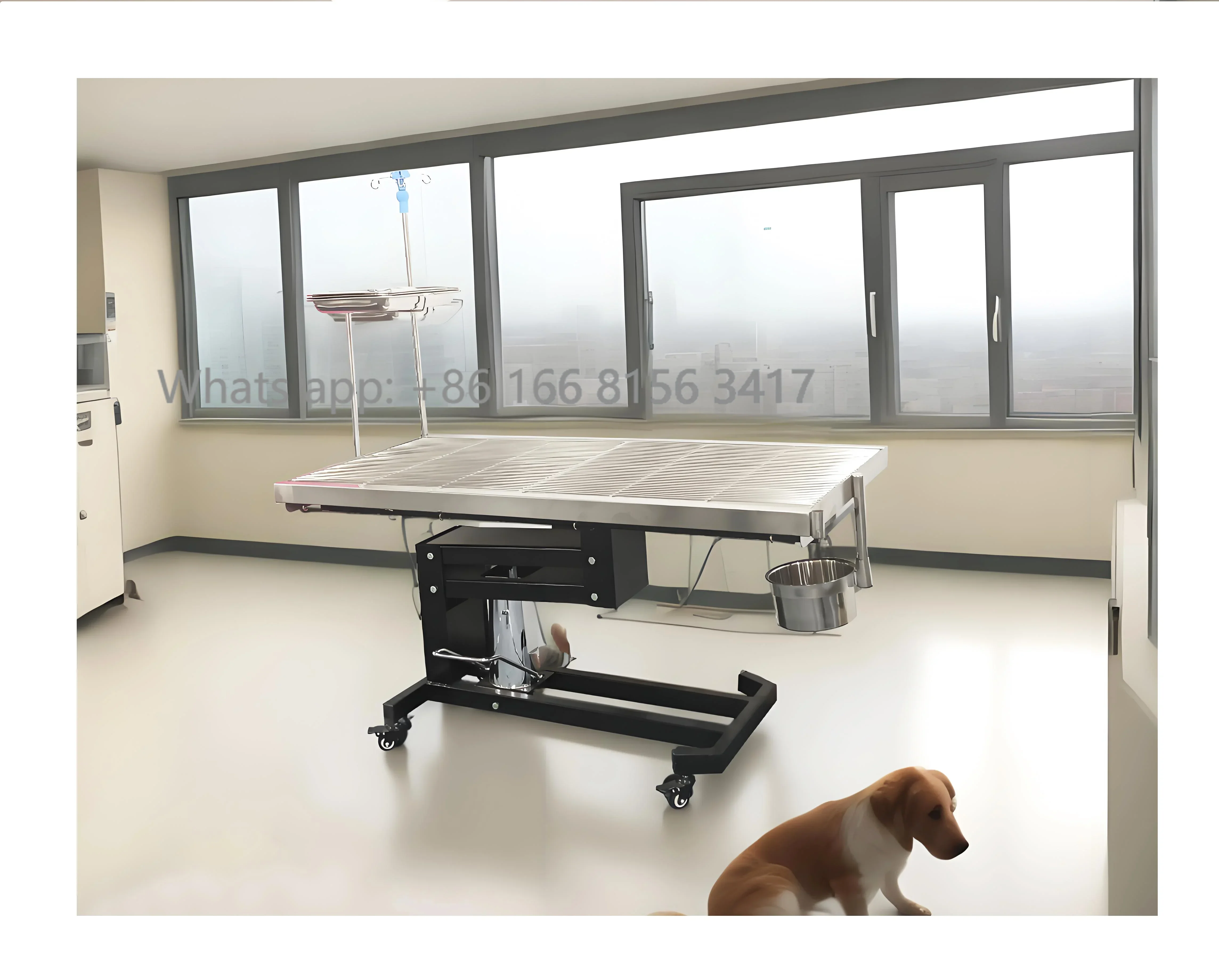 

Professional Veterinary Surgery Table Electric Lifting Vet Operating Table