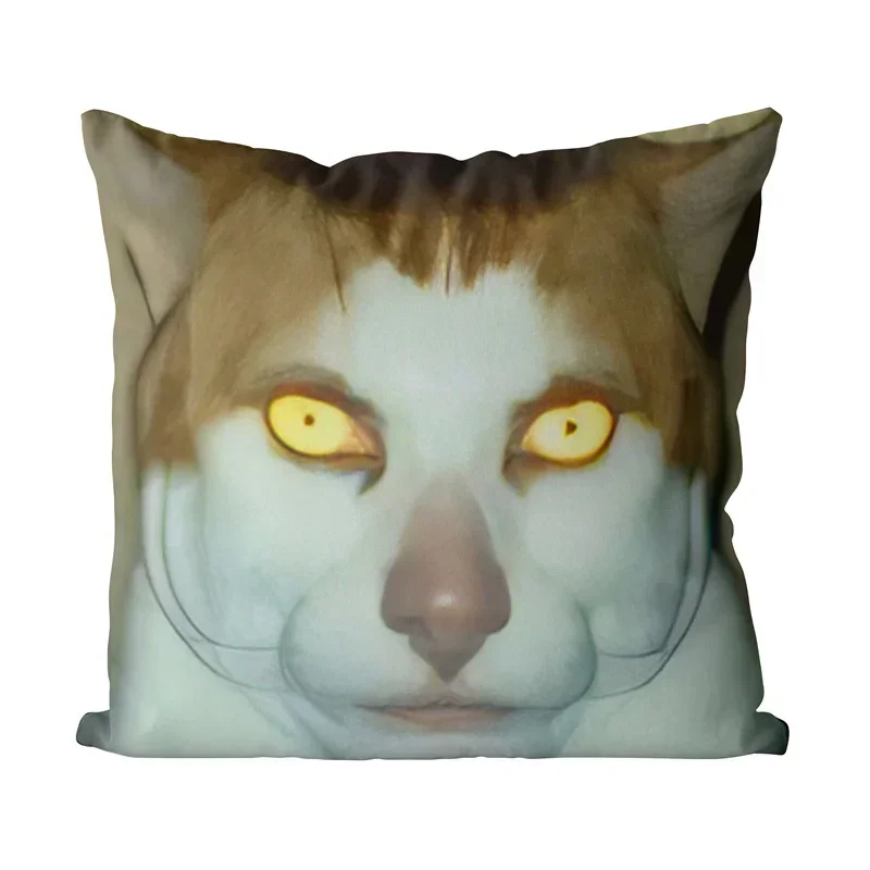 18\'\' x 18\'\' Monday Left Me Broken Cat Mr. Peebles Square Throw Pillow Cushion Covers Cases Pillowcases 45cm x 45cm