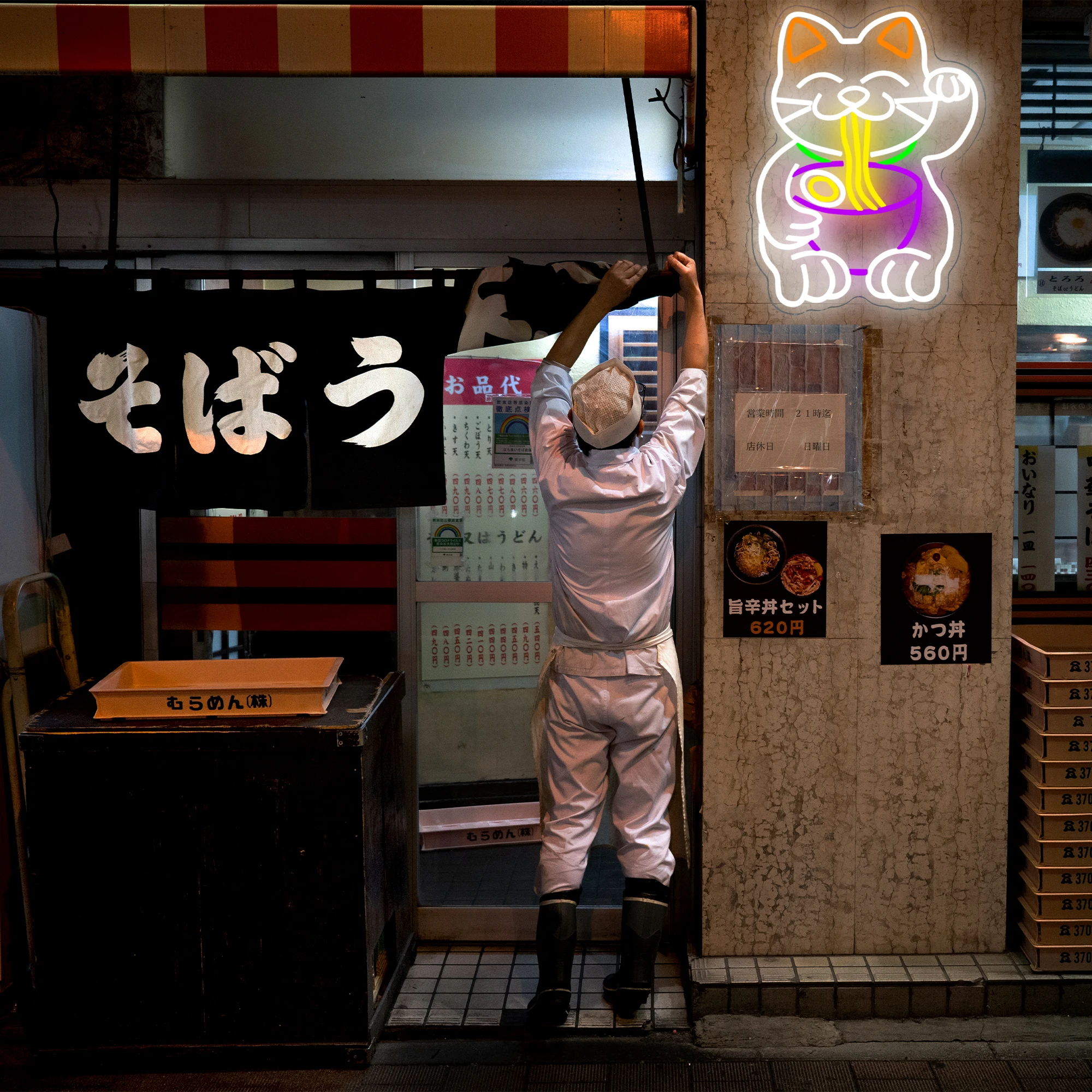 Bonito Ramen Cat Neon Sign, Decoração da parede, Luz LED, Personalizado, Melhor Presente