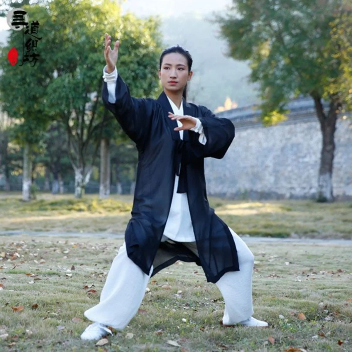 جديد تاي تشي موحدة شال شيفون قطعة واحدة رداء الطاوية بلا أكمام تاي تشي كيب نمط طويل الرجال النساء أداء عباءة #4