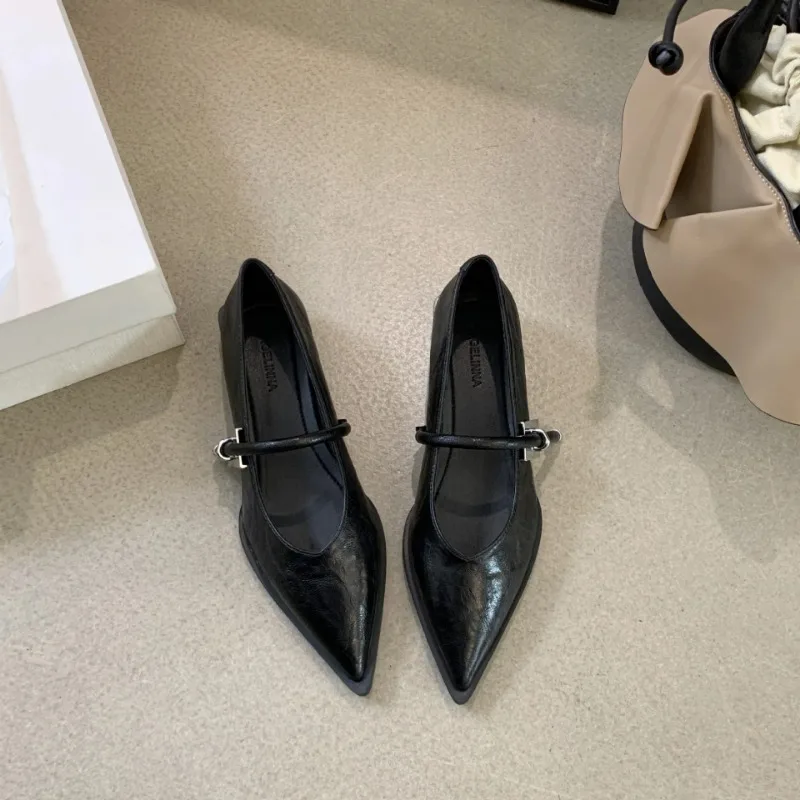 

Хит продаж: Новые женские туфли-лодочки с острым носком на низком каблуке, весна-осень 2026, модные туфли Мэри Джейн в уличном стиле