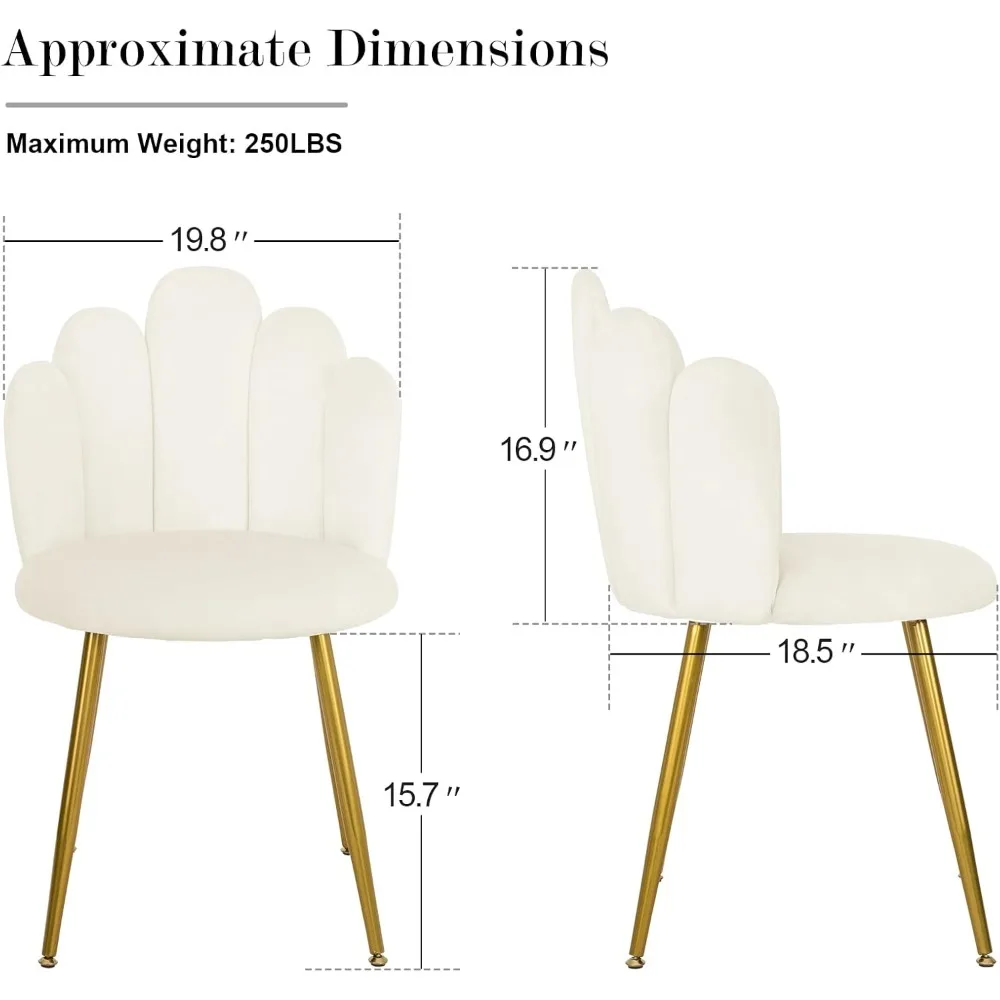 Powder Room Makeup Chair - Medieval Modern Living Room Bedroom Decoration Chair, Gold Leg Velvet Chair (Cream)