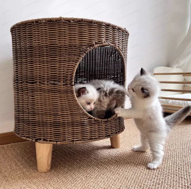 Rattan cat nest universal in all seasons, removable and washable cat nest cylindrical model, scratch-resistant cat bed