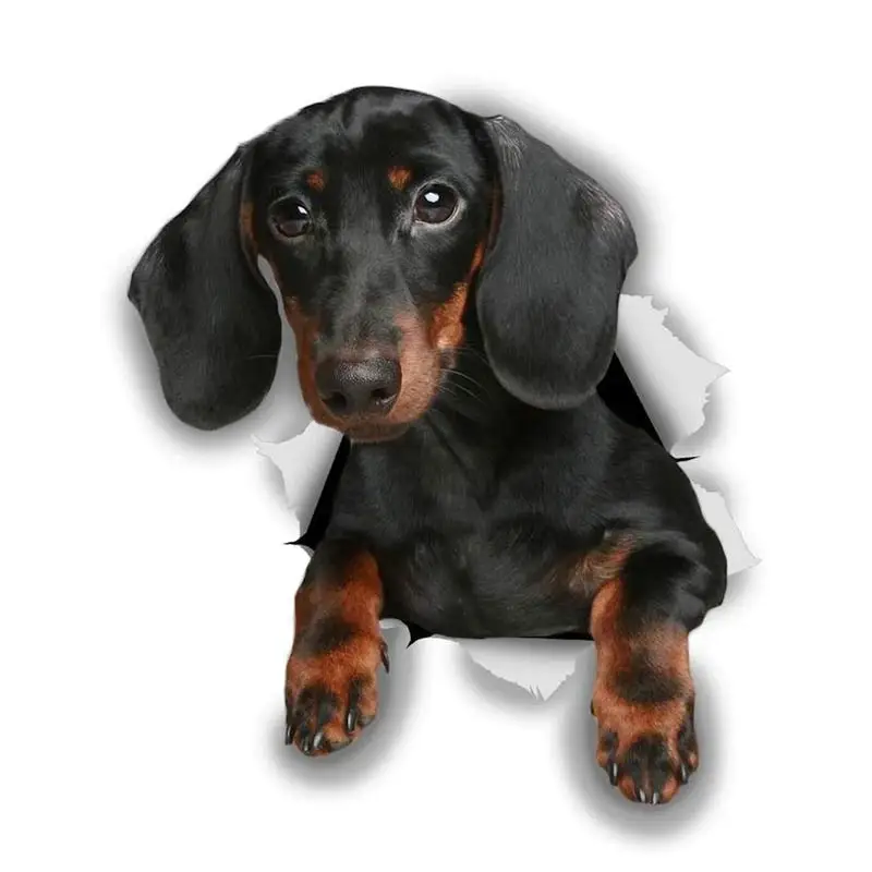 M463 Wurst Hund Rottweiler Hund Yorkshire Terrier Hund PVC Haushalt Dekoration Wand Aufkleber Toilette Aufkleber – Detail 19