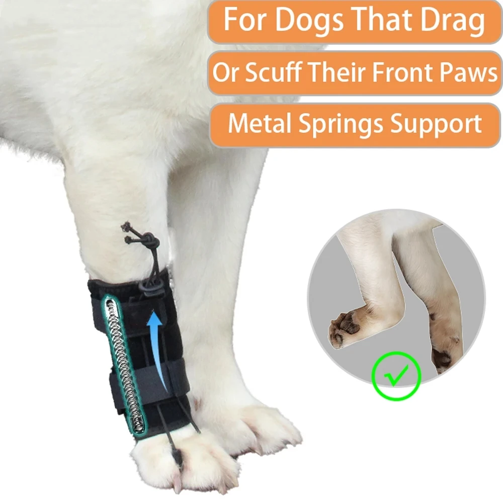 

Dragging Brace For Front Leg Paw With Sciatic Nerve Dorsiflexion Myelopathy And Spinal Injuries Dog Cat Knuckling Corrector Toe