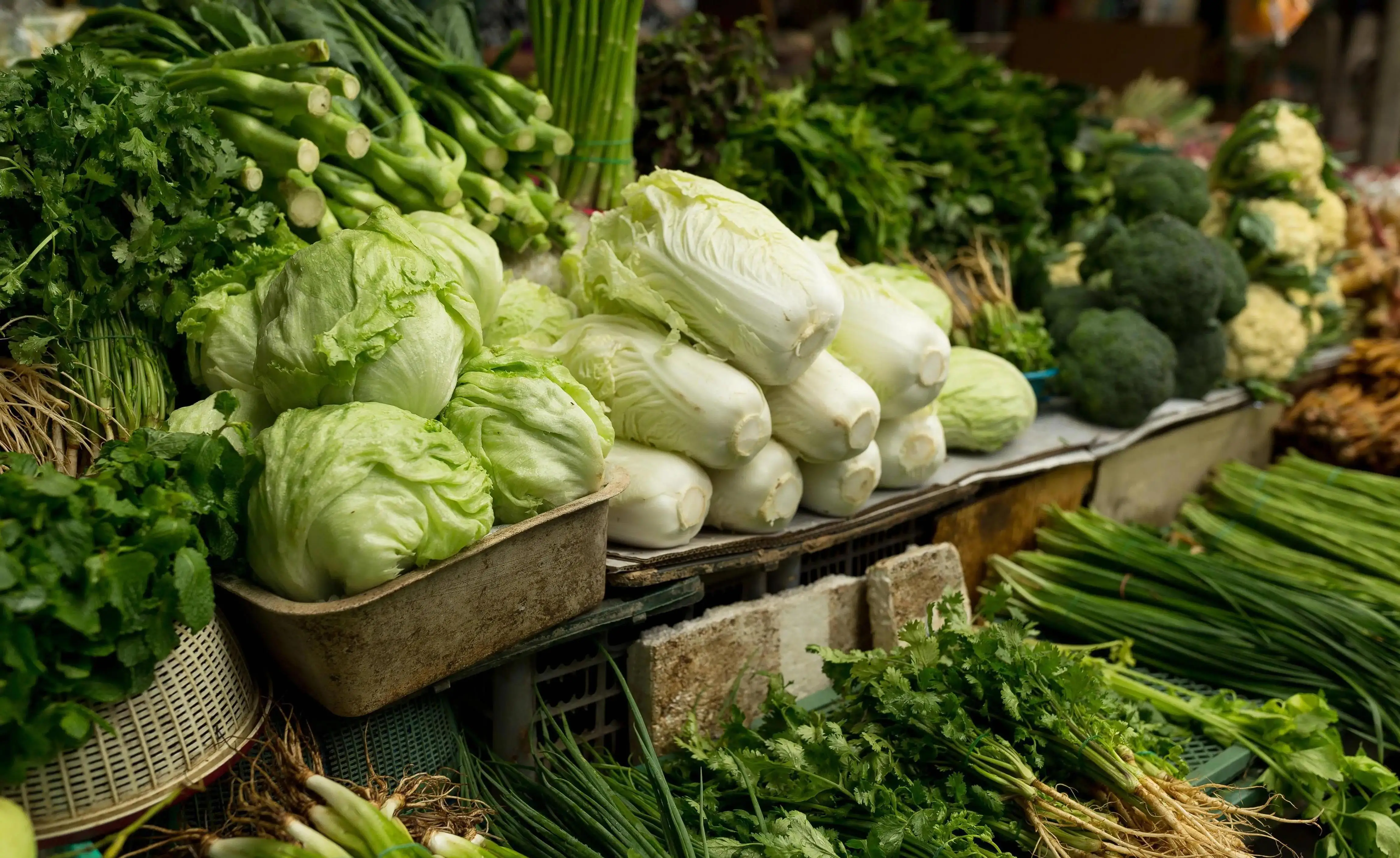 STYTJ02YM аккумулятор 14,8 В 3500 мАч для пылесоса Xiaomi Mijia LDS, робота-пылесоса Mi P, робот-пылесос Mi 2S/Haier JX37 STYTJ02YM аккумулятор 14,8 В 3500 мАч для пылесоса Xiaomi Mijia LDS, робота-пылесоса Mi P, робот-пылесос Mi 2S/Haier JX37