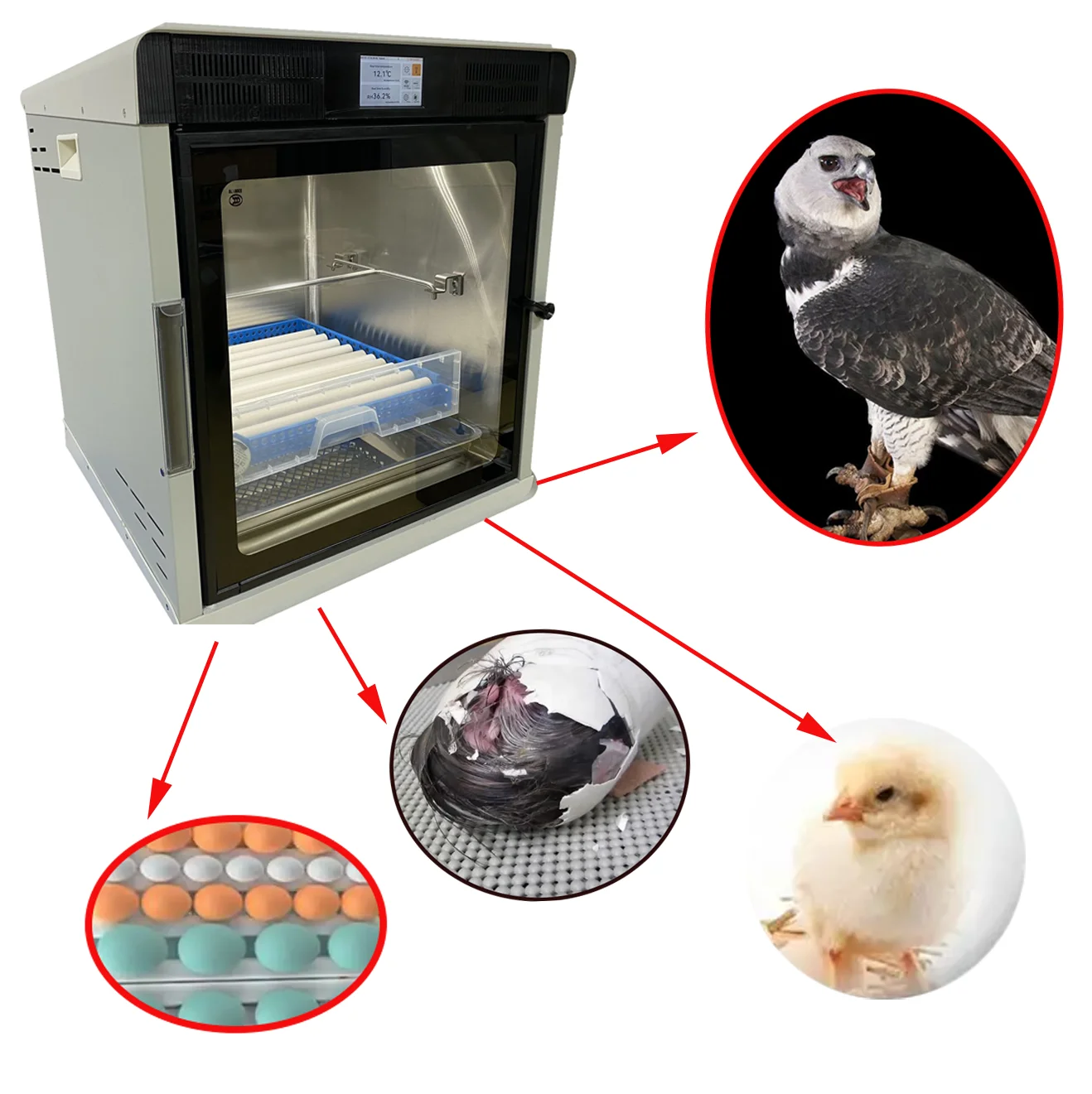 Completely Automatic Animal Bird Incubator Egg Incubator Pet ICU Reptiles Hatcher Machine Bird Incubator