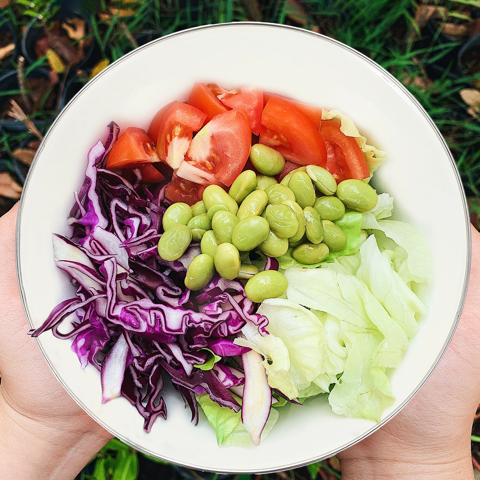 

2Pcs High-Grade Enamel Pots Reliable Long-Lasting Gift Option for Family and Friends Food Storage Solutions Enamel Basins