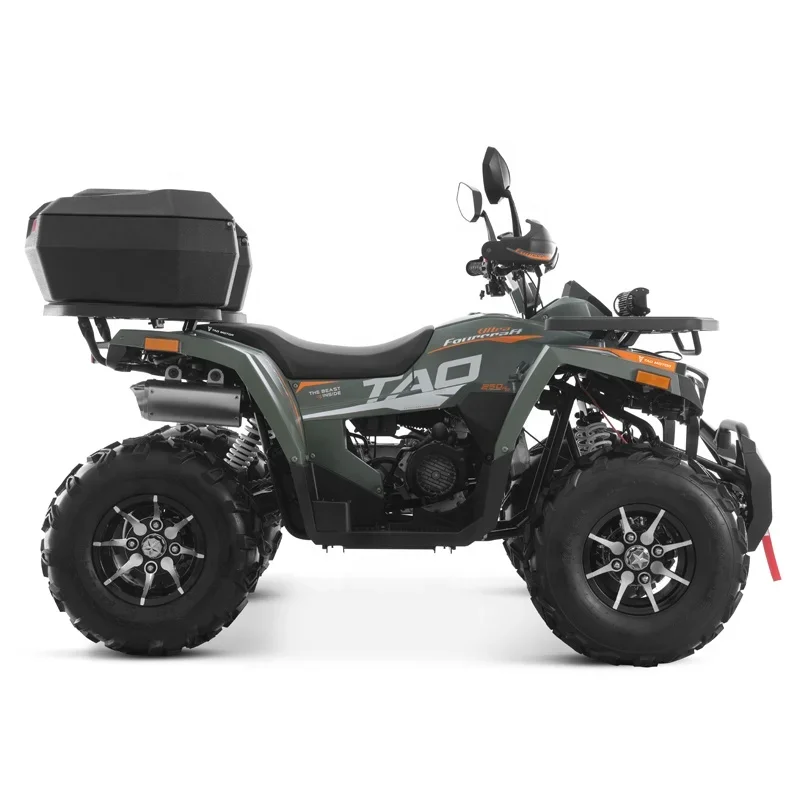 2024 New Side By Sides 4x4 Quad Bike 250cc ATV With CE EPA ECE Certificate