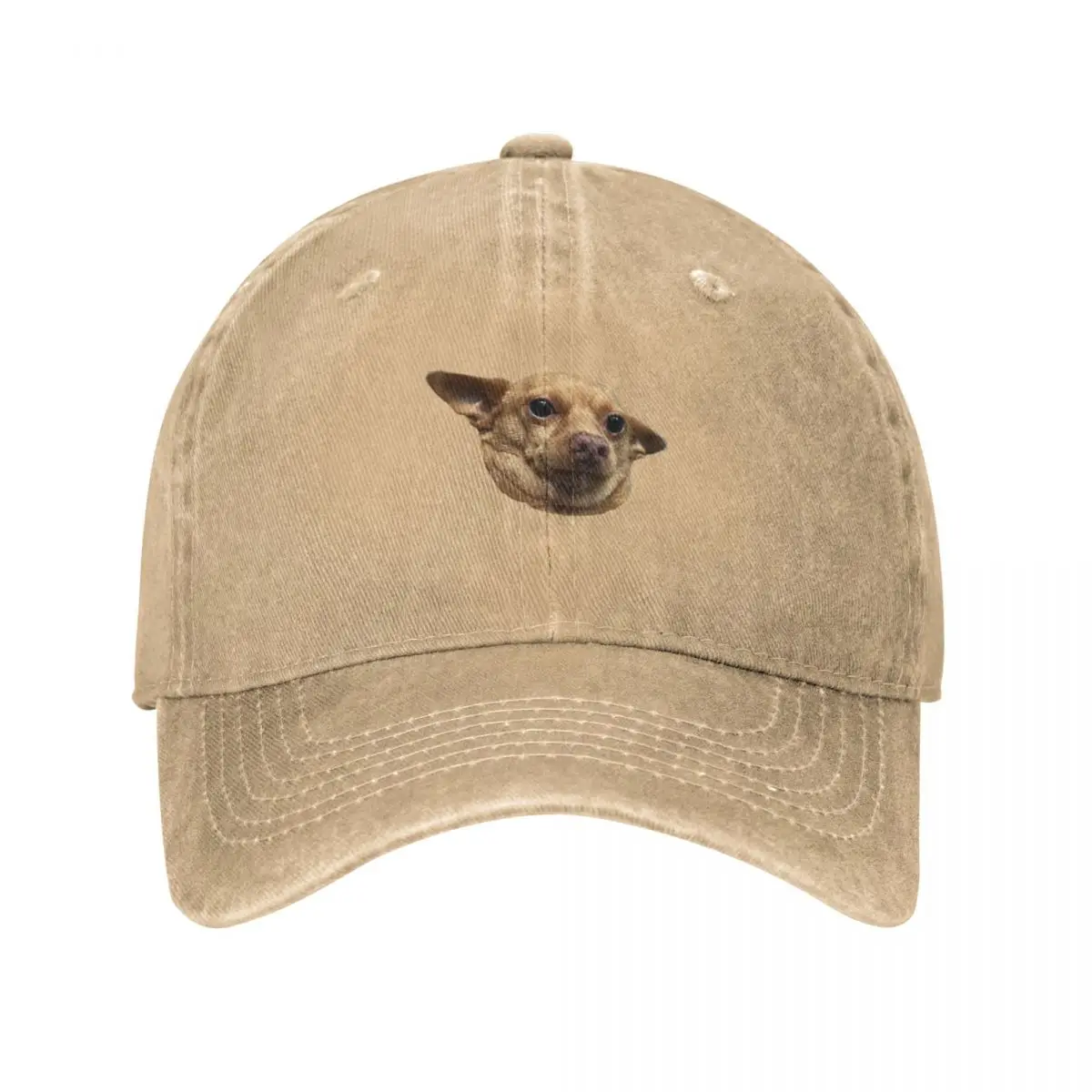 

All Knowing Dog Cap Cowboy Hat Mountaineering hat luxury brand Cap hat cap for men Women's