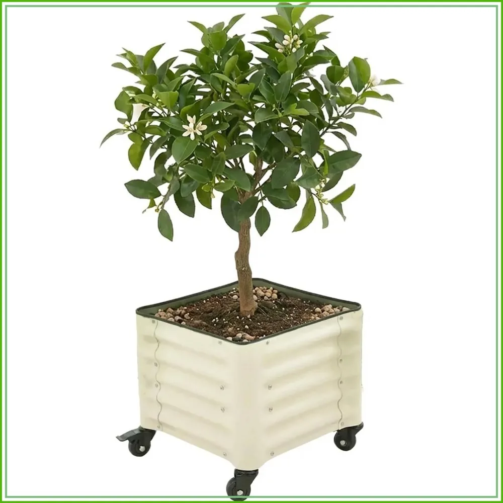 Rolling Citrus Planter 1.75 ft Mobile Metal Raised Garden Bed for Patio Deck Balcony White