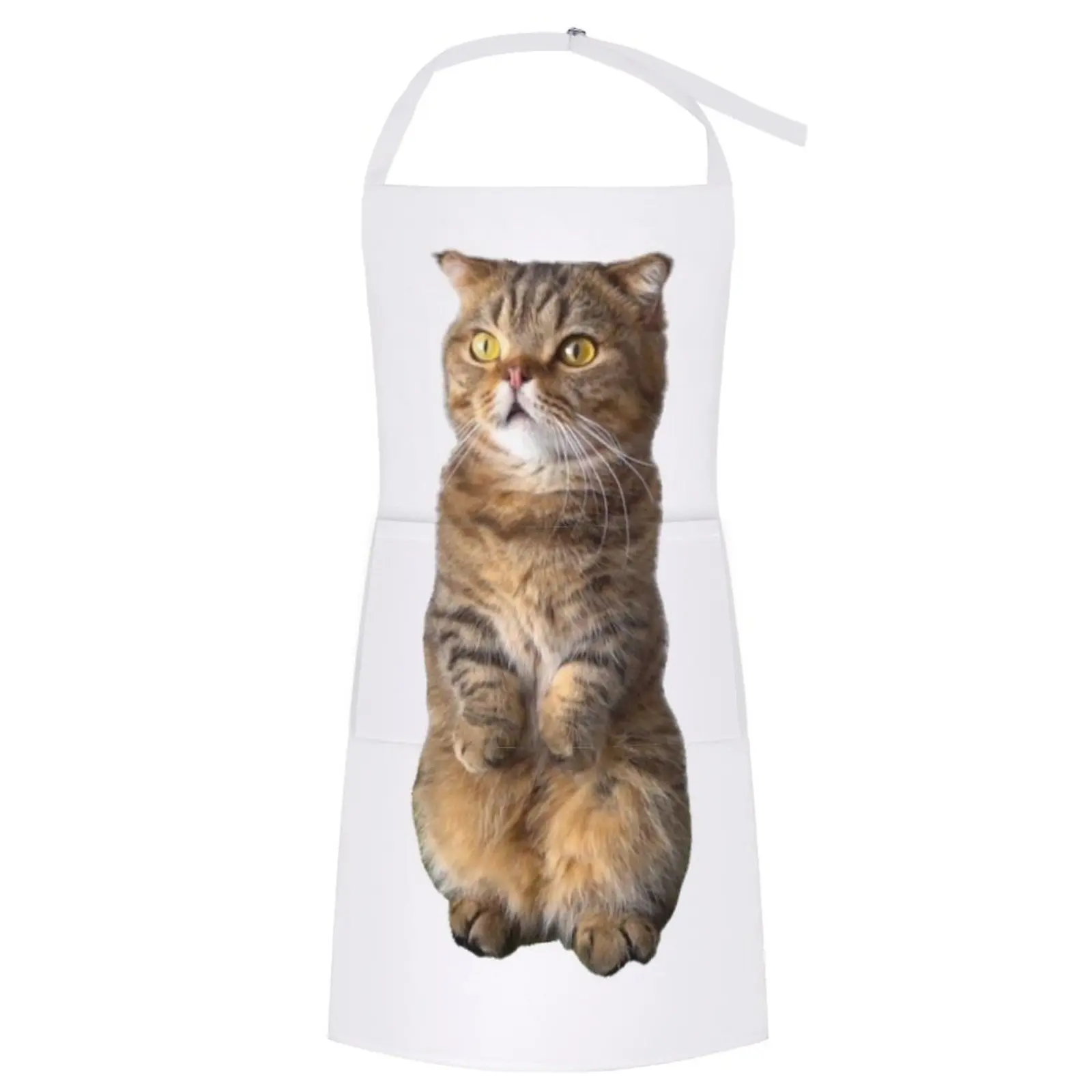 

Cute LuLu standing ( Kittisaurus ) Apron Apron Kitchen Women Kitchen Items