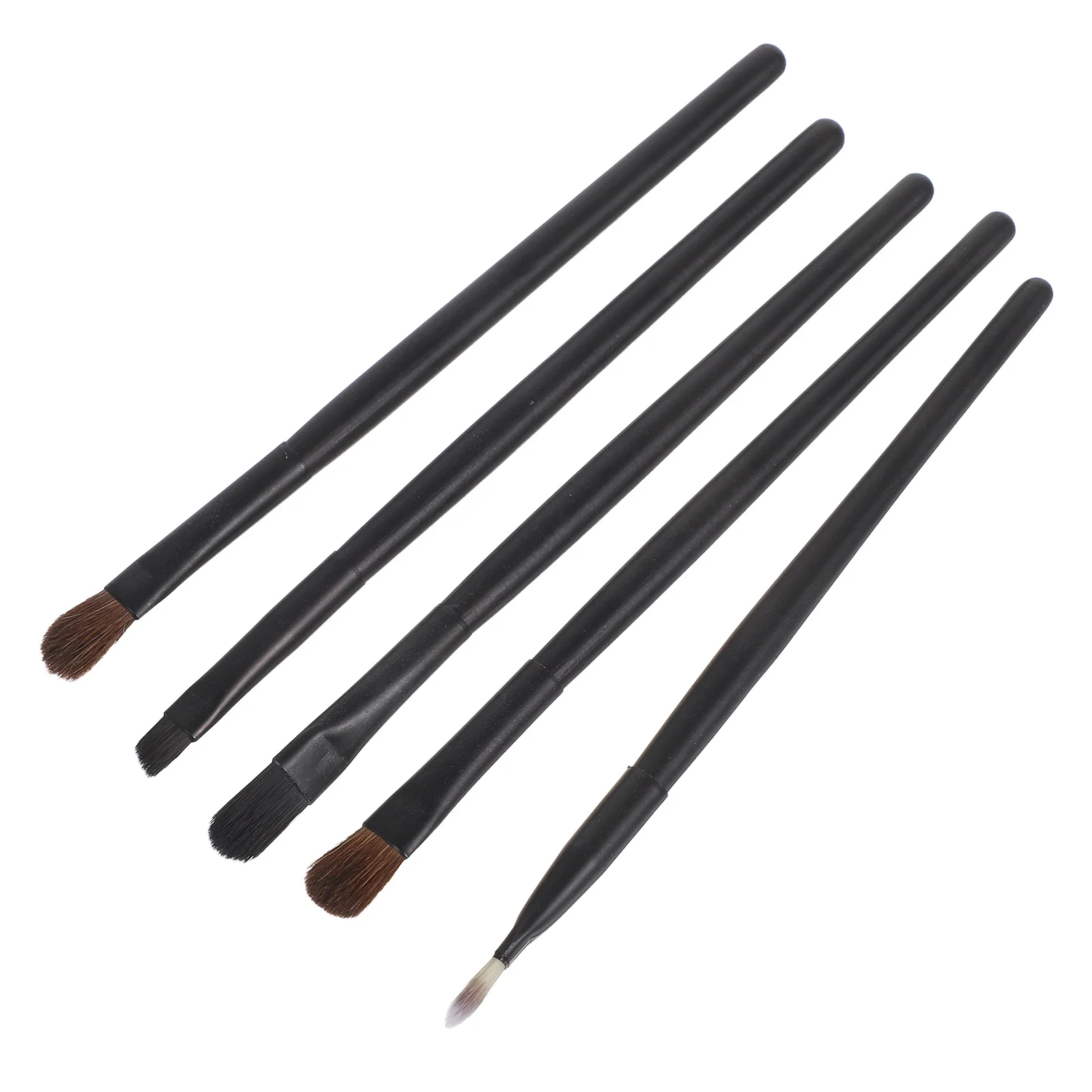 Set di pennelli per trucco occhi da 5 pezzi Pennelli portatili per ombretto nero eyeliner Custodia compatta Kit essenziale per l'applicazione quotidiana
