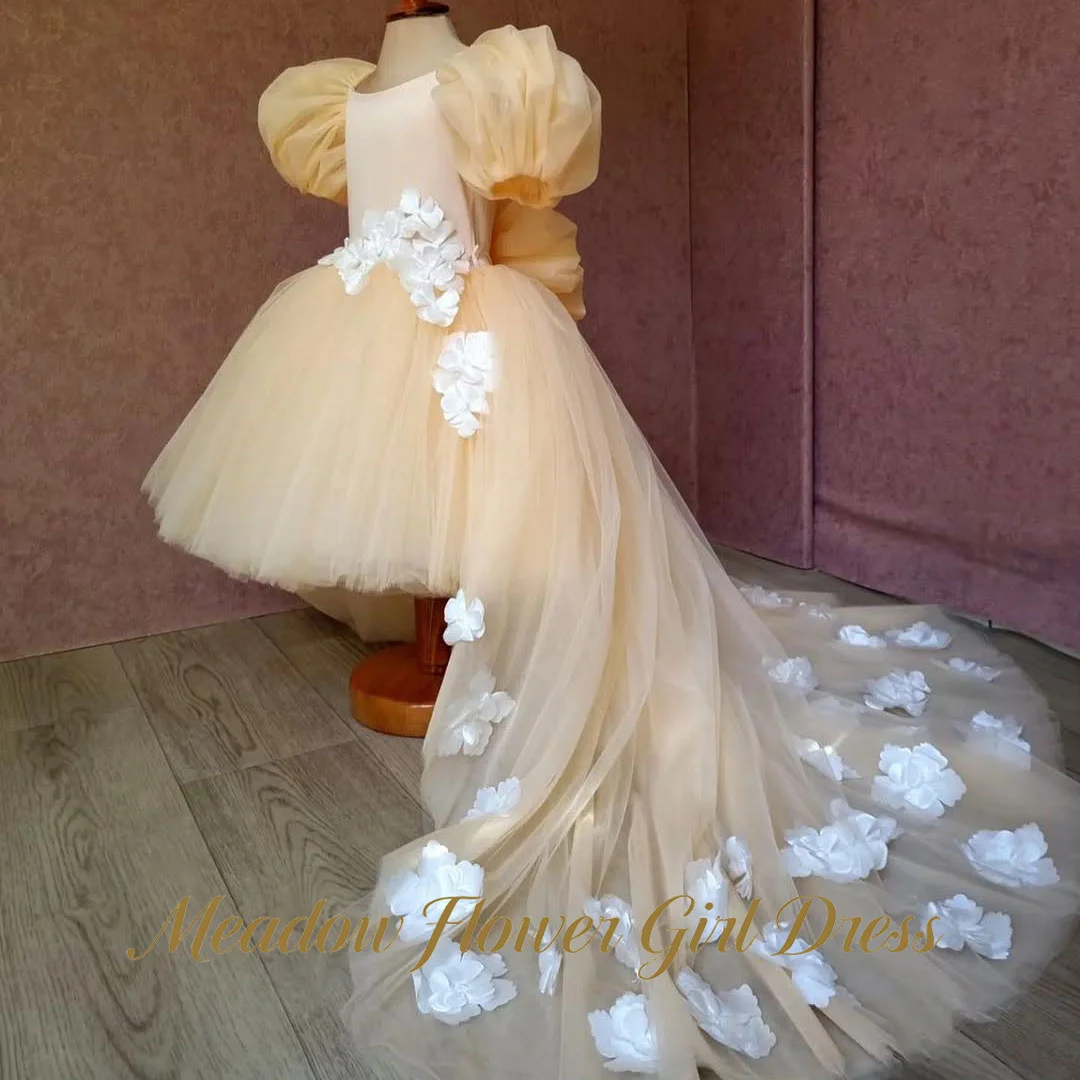 Meadow Blush Yellow First Communion Gown Trailing Tulle Girls Princess Dress 3D Flower Applique Evening Party Dress for Girls