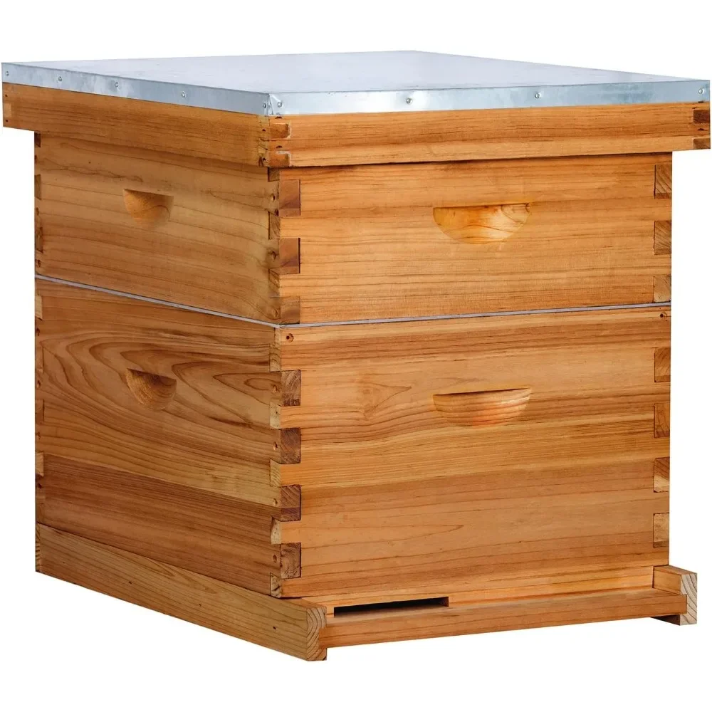 مجموعة أدوات بداية خلية النحل مكونة من 10 إطارات - مجموعة كاملة من خلية النحل مع صندوق عميق واحد و1 وسط فائق المطلي بشمع العسل، تتضمن إطارات و