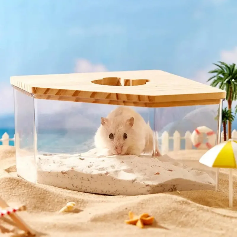 Thumbnail 3 - #3 New Hamster Houses Arrivals
