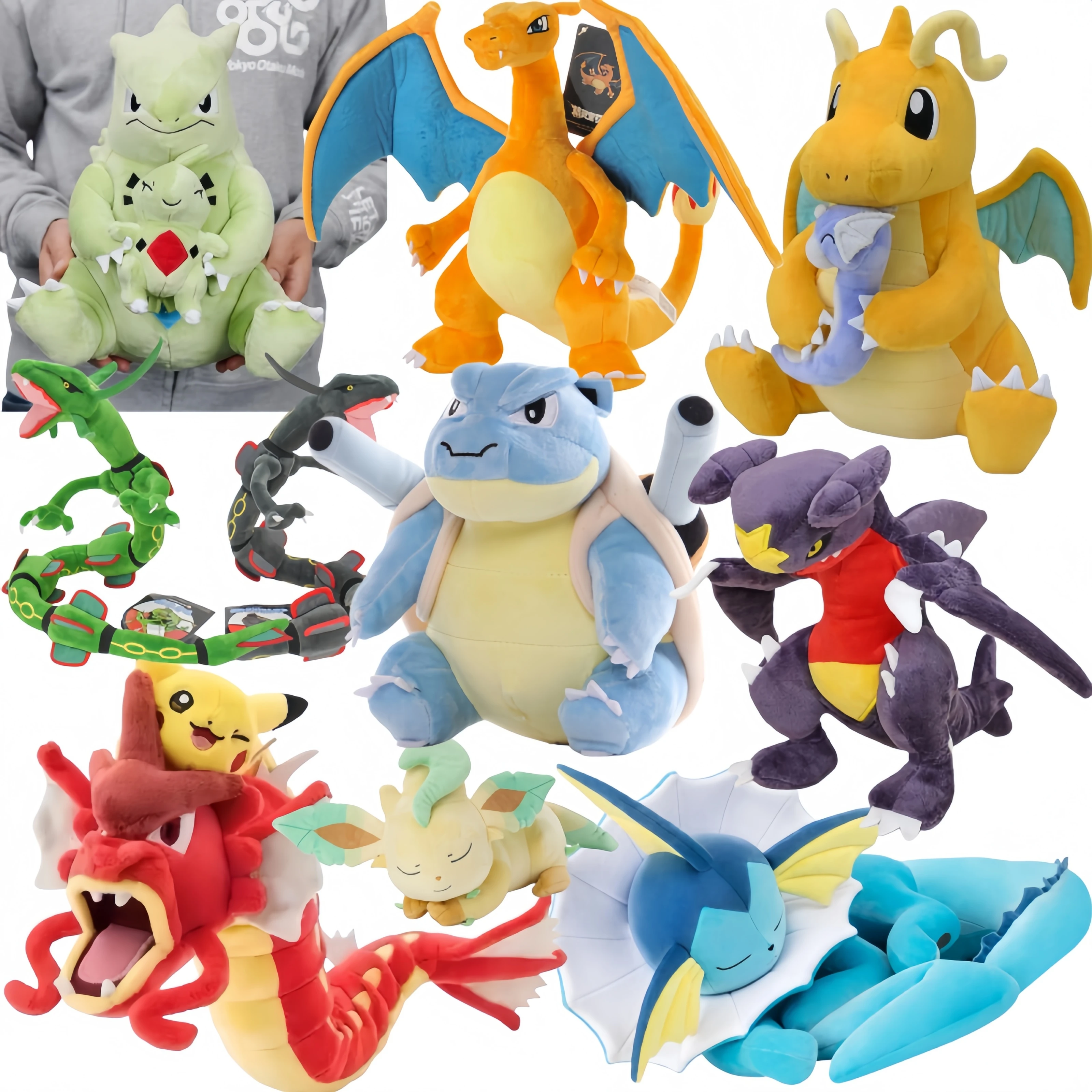 Pokemon Sleeping Va…