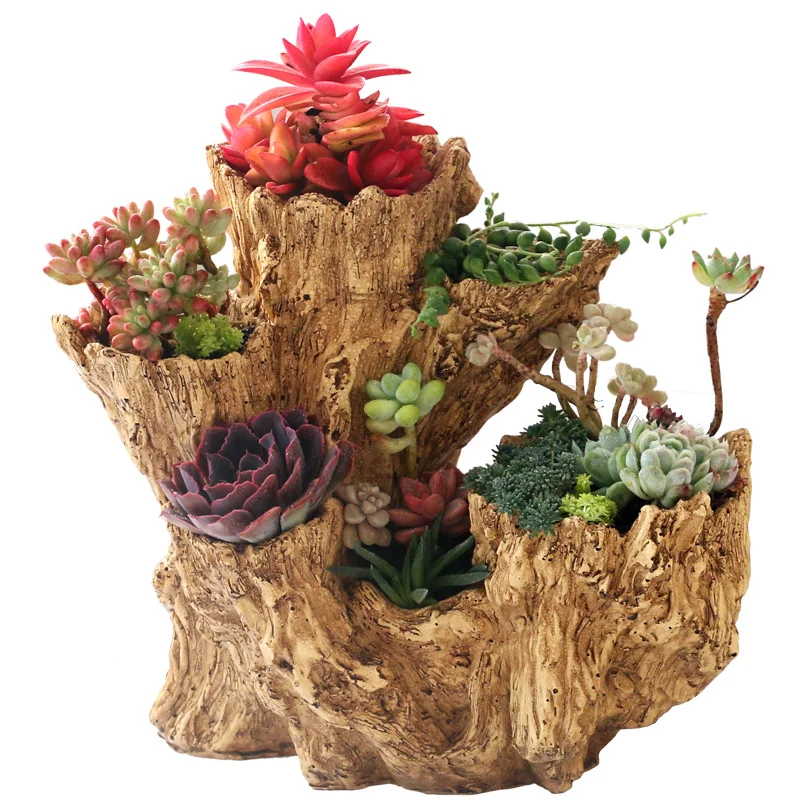 Creativity of succulent flower pots, large caliber micro landscapes, succulent plants, porous and broken root shaped wood