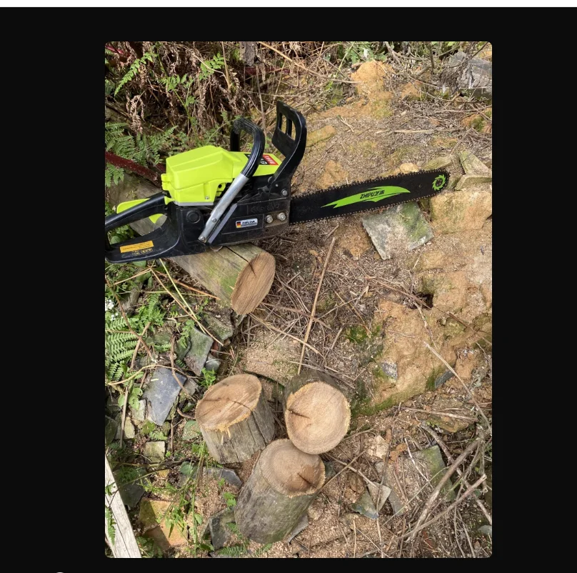 

Мощная немецкая бензопила для резки деревьев с импортным двигателем CJ