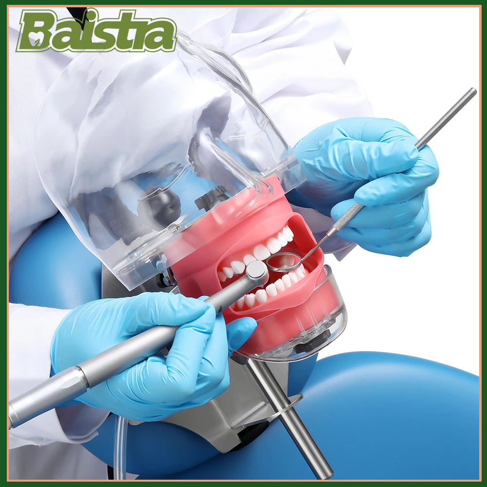 

Dental Simulator Mannequin Head Teaching Head Mold Typodont Tooth Model with 28 Removable Teeth for Simulations Practice AZDENT