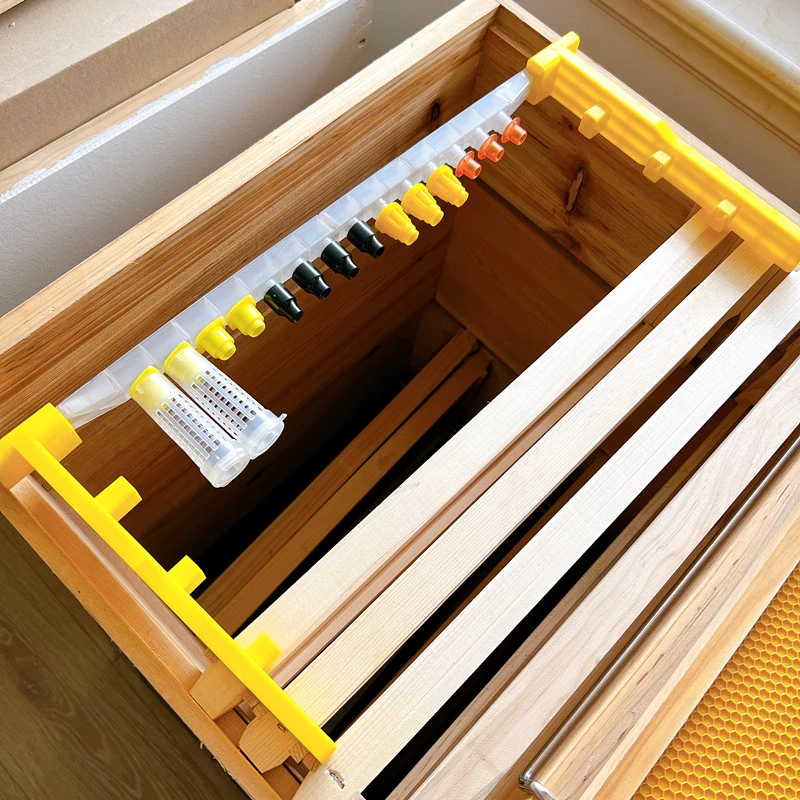 Detachable Queen Rearing Kit with Cell Bars, Protective Cages & No-Graft System, Beekeeping Supplies for Raising Queen Bees