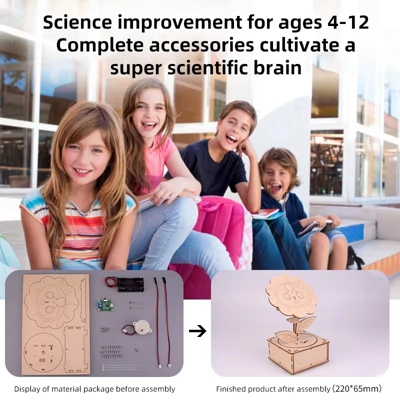 Kit di esperimenti scientifici fai-da-te girasole fai-da-te per bambini, giocattolo modello educativo, regalo fai-da-te, giocattoli per progetti di fisica per bambini giocattolo regalo
